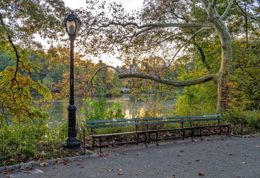 Central Park 'taki gölde, New York City, Manhattan