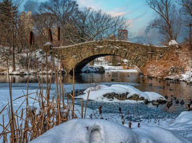 Kışın kar fırtınasından sonra Central Park 'taki Gapstow Köprüsü