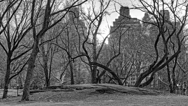 Central Park New York Été — Photo