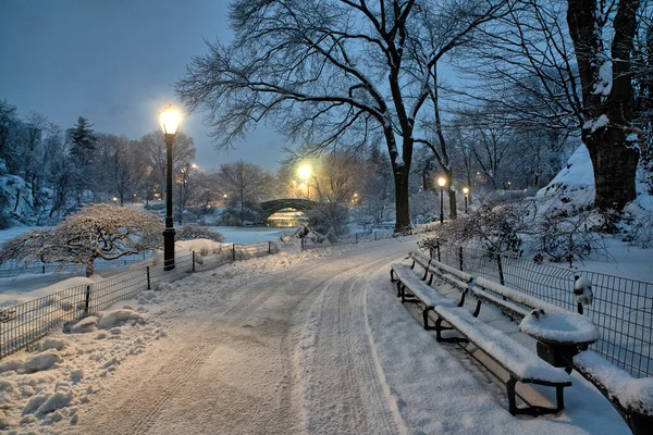 Central Park Inverno Manhã Após Tempestade Neve — Fotografia de Stock