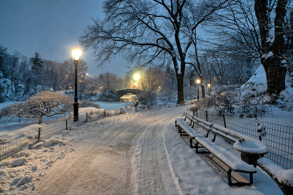 Central Park in winter ealy morning after snow storm