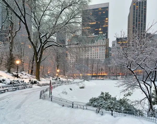 Central Park Winter Ealy Morning Snow Storm — Stock Photo, Image