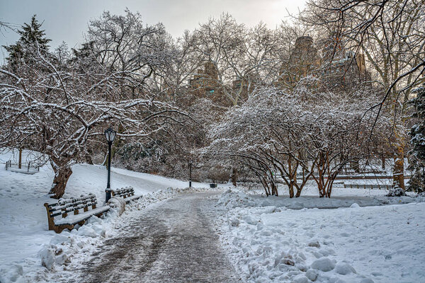Central Park in winter ealy morning after snow storm