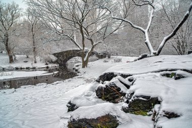 Central Park 'taki Gapstow Köprüsü 
