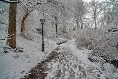 Kışın Central Park 'ta kar fırtınası, şafak vakti