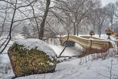 Pruva köprüsü, Central Park, New York