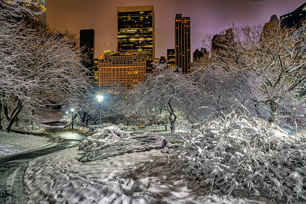 Central Park in winter during snow storm, dawn