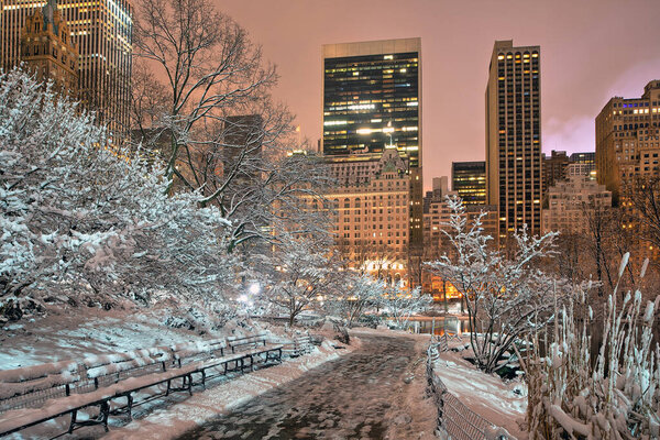 Central Park in winter during snow storm, dawn