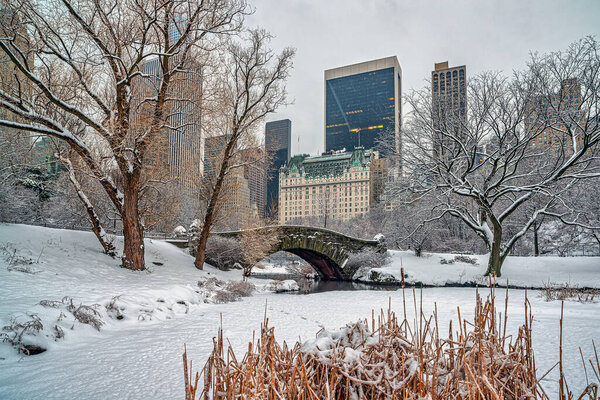 Gapstow Bridge in Central Park during snow storm