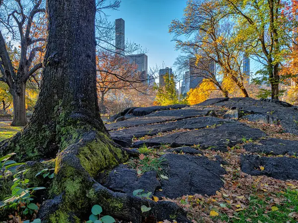 秋天的纽约市中央公园 — 图库照片