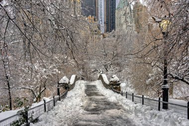 Kar fırtınası sırasında Central Park 'taki Gapstow Köprüsü.