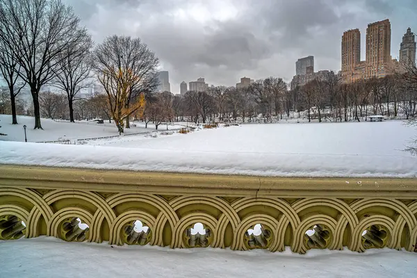 Bågbro Central Park New York City Tidig Morgon Snöstorm — Stockfoto