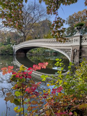 Pruva köprüsü, Central Park, New York, sonbaharın sonlarında sabahın erken saatleri