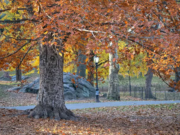 Central Park, Sonbaharda New York