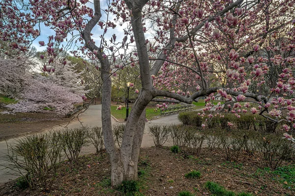 stock image Spring in Central Park, New York City