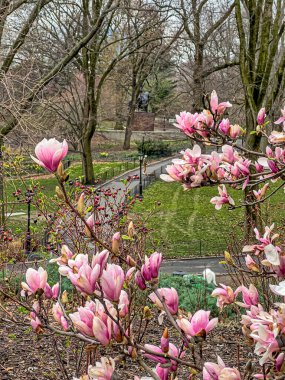 Central Park 'ta bahar, New York