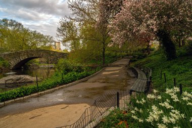 Central Park 'taki Gapstow Köprüsü İlkbaharın başlarında, şafakta