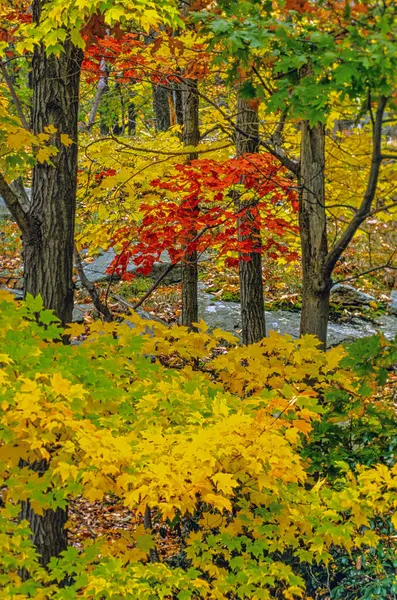 Harriman State Park Located Rockland Orange Counties Late Autumn Looking — Stock Photo, Image