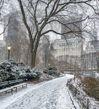 Sabahın köründe kar fırtınası sırasında Central Park