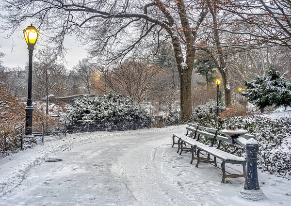 Central Park early in the morning during a snow storm