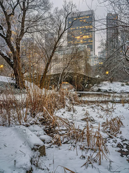 Central Park New York Kar Fırtınası Sırasında Gapstow Köprüsü — Stok fotoğraf