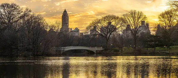 Lake Central Park New York City Manhattan Winter Early Morning — Stock Photo, Image