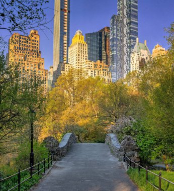 Central Park 'taki Gapstow Köprüsü İlkbahar ve sabah