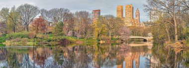 Bow Köprüsü, Central Park, New York İlkbaharda sabah erken saatlerde güzel bir günde