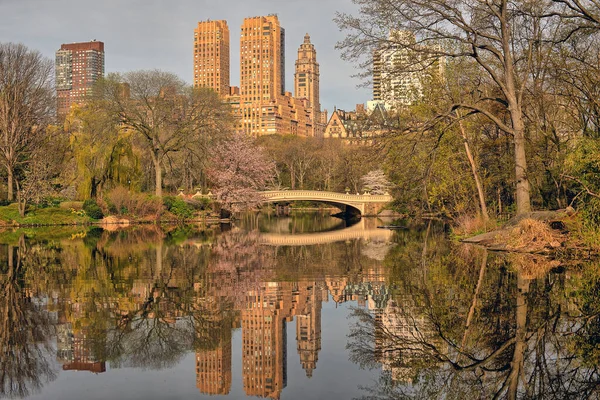 Pont Bow Central Park New York Début Printemps Matin Par — Photo