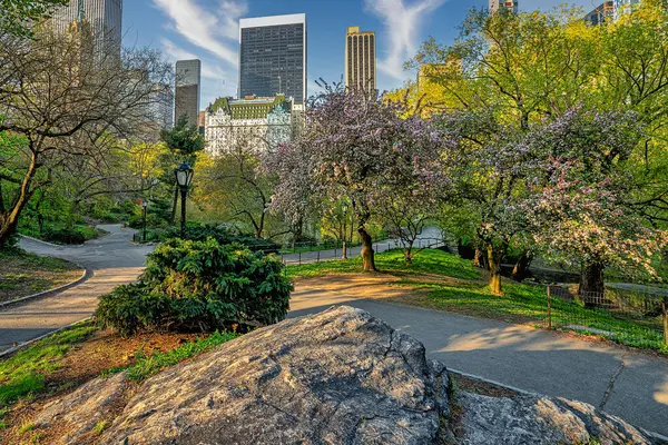 Våren Central Park New York City Tidigt Morgonen — Stockfoto
