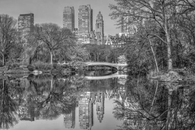 Pruva köprüsü, Central Park, New York siyah beyaz monokrom