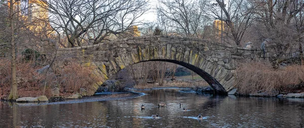 Central Park Taki Gapstow Köprüsü Sabahın Erken Saatlerinde Kışın Gün — Stok fotoğraf