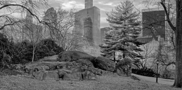 Jezera Central Parku New York City Manhattan Stock Fotografie