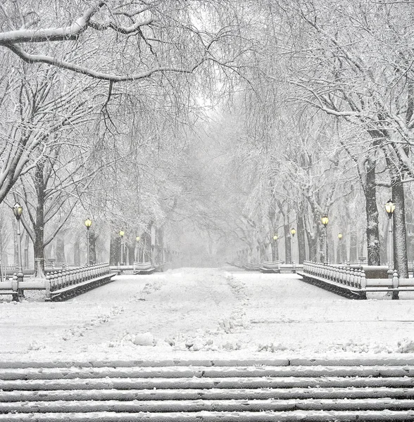 Mall Din Central Park New York Timpul Furtunii Zăpadă — Fotografie, imagine de stoc