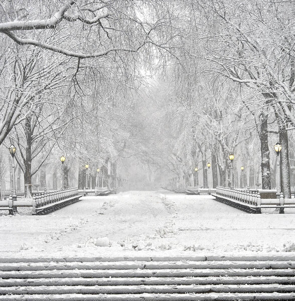 The Mall in Central Park, New York City, during snow storm