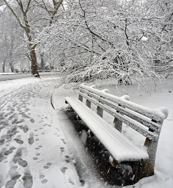 Central Park New York Timpul Furtunii Zăpadă Dimineața Devreme — Fotografie, imagine de stoc