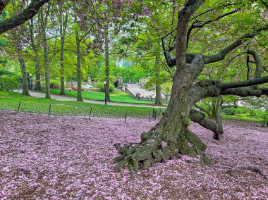 Bethesda Terrace ve Fountain, New York 'un Central Park' ındaki göle bakan iki mimari özelliktir..