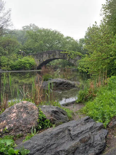 Gapstow Bridge Central Park Späten Frühling Einem Nebligen Morgen lizenzfreie Stockfotos