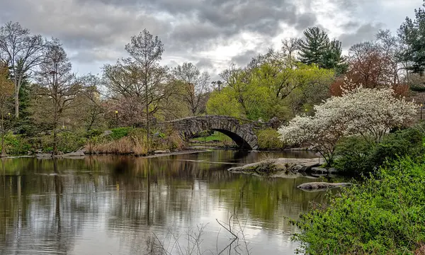 Gapstow Bridge Central Park Slutningen Foråret Tåget Morgen Stock-billede