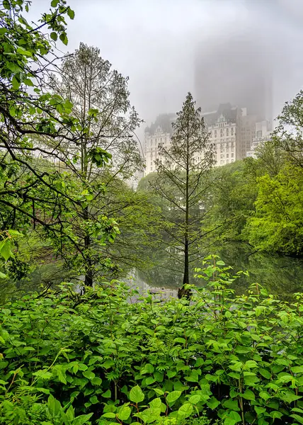 Spring Central Park New York City Foggy Raining Morning Stock Image