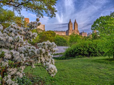 Central Park 'ta bahar, New York City, sabahın erken saatlerinde