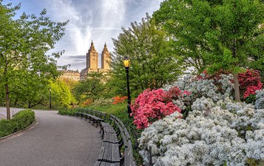 Spring in Central Park, New York City, in the early morning clipart