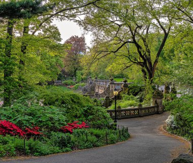 Spring in Central Park, New York City, in the early morning clipart