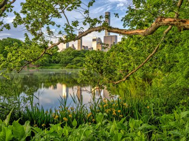 Central Park 'taki gölde, New York City, Manhattan