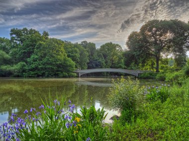 Central Park 'taki gölde, New York' ta, Manhattan 'da, Bow Köprüsü' nde.