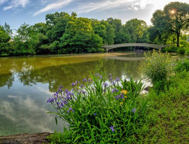 Central Park 'taki gölde, New York' ta, Manhattan 'da, Bow Köprüsü' nde.