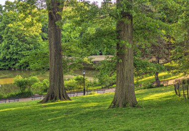 Central Park 'taki gölde, New York' ta, Manhattan 'da, Bow Köprüsü' nde.