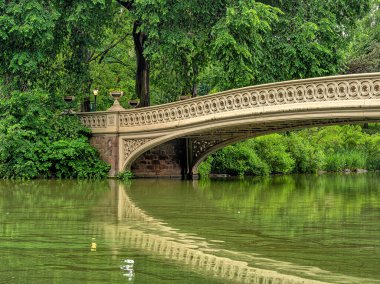 Pruva köprüsü, Central Park, New York Sabahın erken saatlerinde hafif yağmurdan sonra