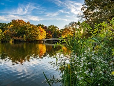 Pruva köprüsü, Central Park, New York, sonbaharın sonlarında sabahın erken saatleri