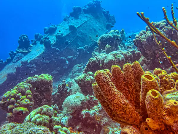 stock image Caribbean coral reef with small shipwreck off the coast of the island of Bonaire